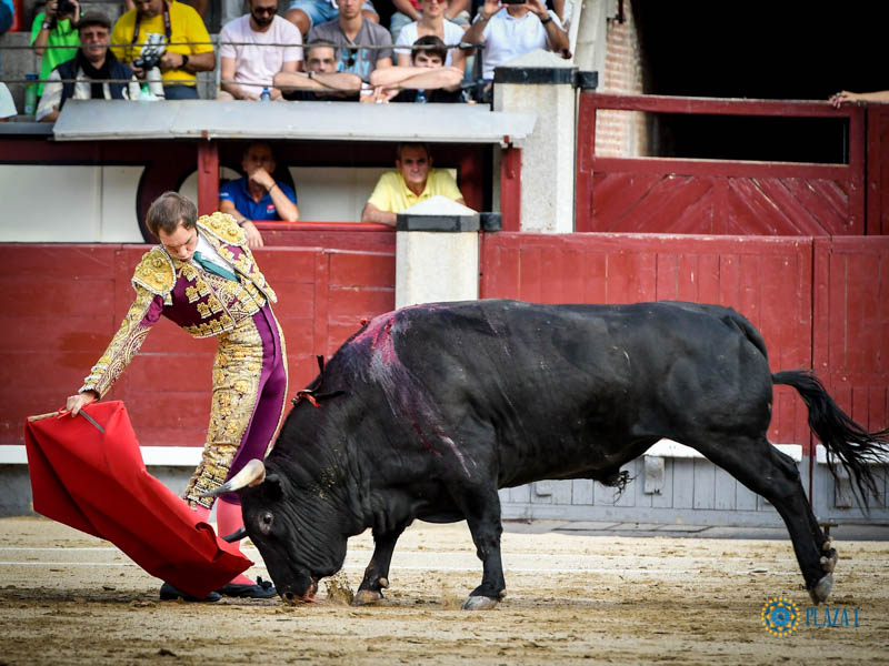 Madrid, domingo 11 de agosto de 2019