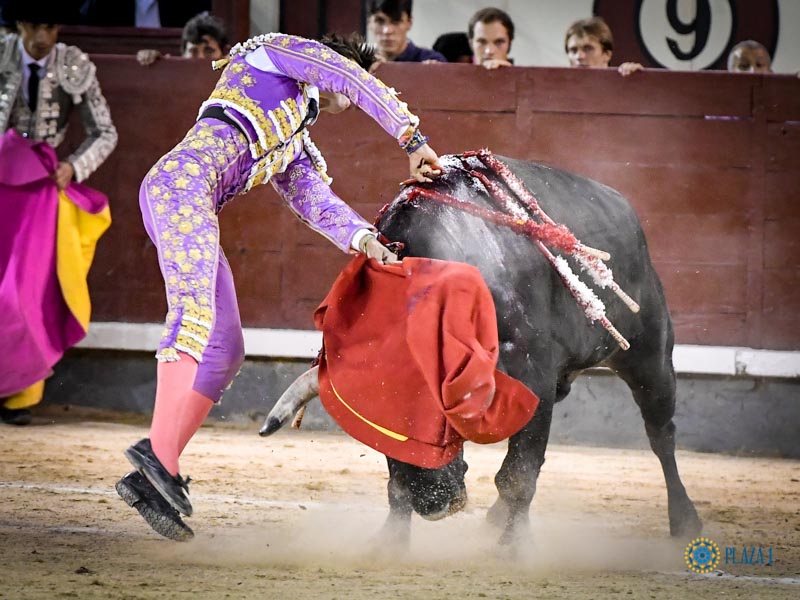 Madrid, domingo 11 de agosto de 2019