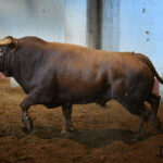 Sorteo. San Sebastián, miércoles 14 de agosto de 2019