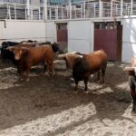 Sorteo. Málaga, domingo 18 de agosto de 2019