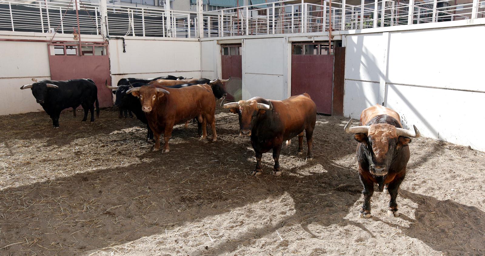 Sorteo. Málaga, domingo 18 de agosto de 2019