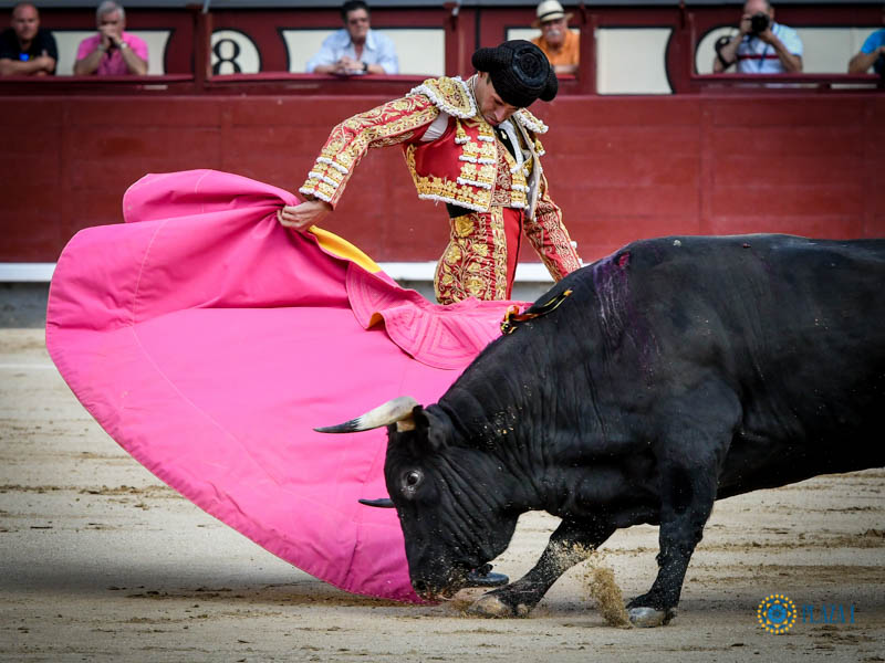 Madrid, domingo 11 de agosto de 2019