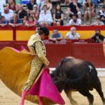 Alicante, domingo 4 de agosto de 2019