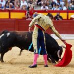 Alicante, domingo 4 de agosto de 2019