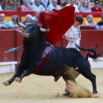 Alicante, domingo 4 de agosto de 2019