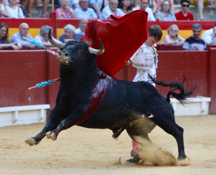 Alicante, domingo 4 de agosto de 2019