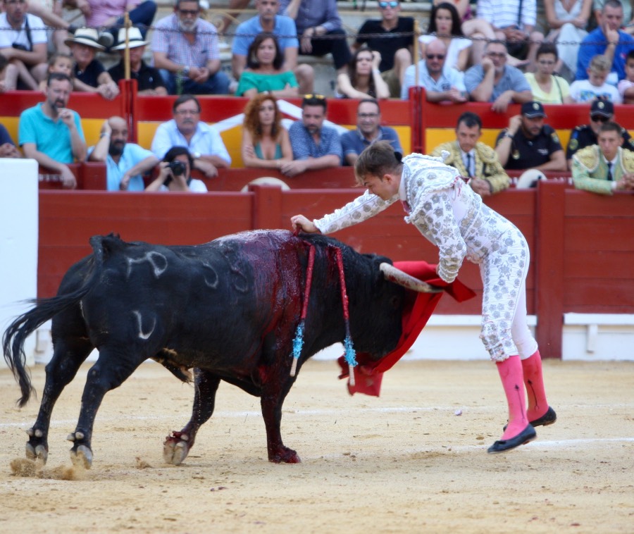 Alicante, domingo 4 de agosto de 2019