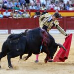 Alicante, domingo 4 de agosto de 2019