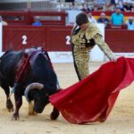 Alicante, domingo 4 de agosto de 2019