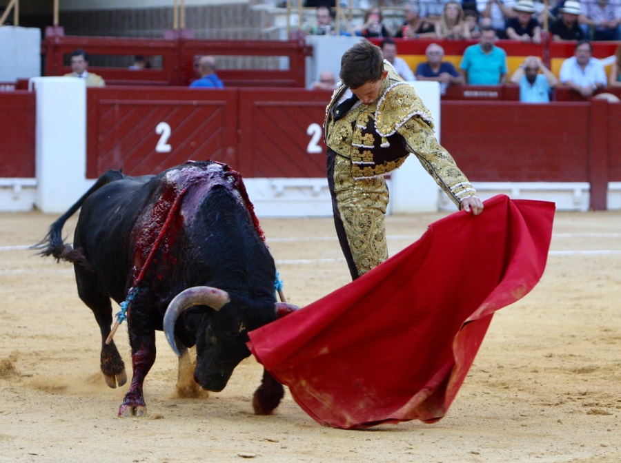 Alicante, domingo 4 de agosto de 2019