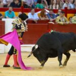 Alicante, domingo 4 de agosto de 2019