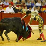 Alicante, domingo 4 de agosto de 2019