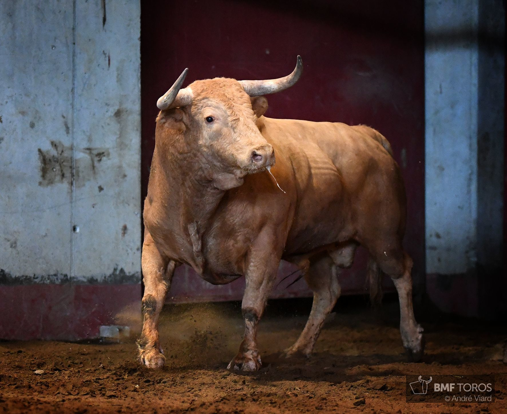 Sorteo. San Sebastián, miércoles 14 de agosto de 2019