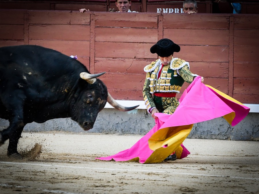 Madrid, jueves 15 de agosto de 2019