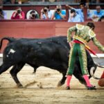 Madrid, jueves 15 de agosto de 2019