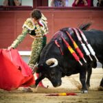 Madrid, jueves 15 de agosto de 2019