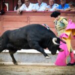 Madrid, jueves 15 de agosto de 2019