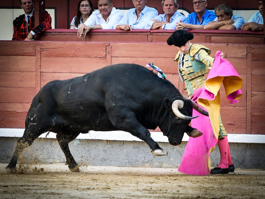 Madrid, jueves 15 de agosto de 2019