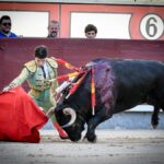 Madrid, jueves 15 de agosto de 2019
