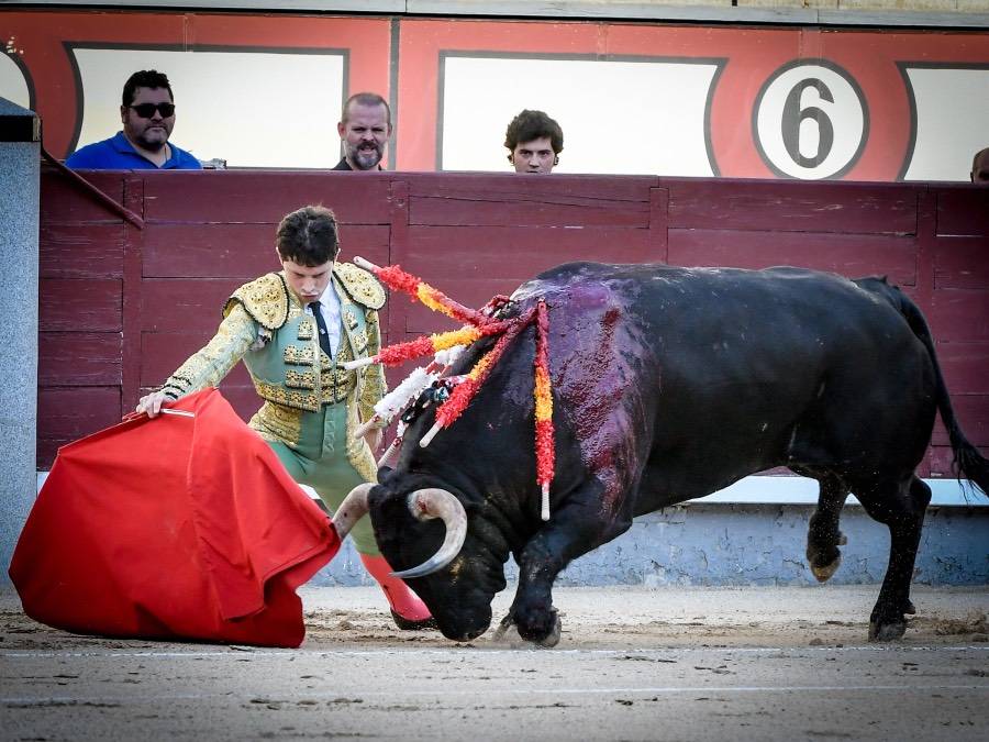 Madrid, jueves 15 de agosto de 2019