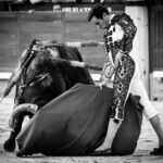 Madrid, jueves 15 de agosto de 2019