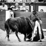 Madrid, jueves 15 de agosto de 2019