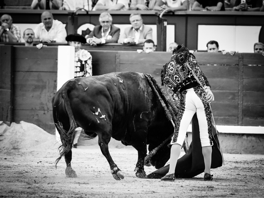 Madrid, jueves 15 de agosto de 2019