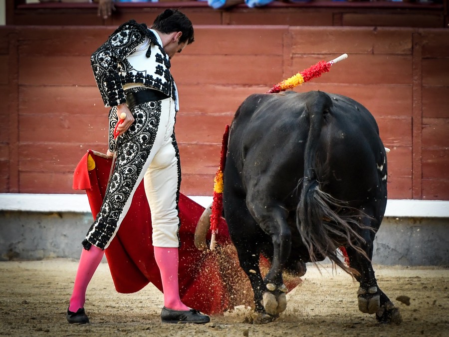 Madrid, jueves 15 de agosto de 2019