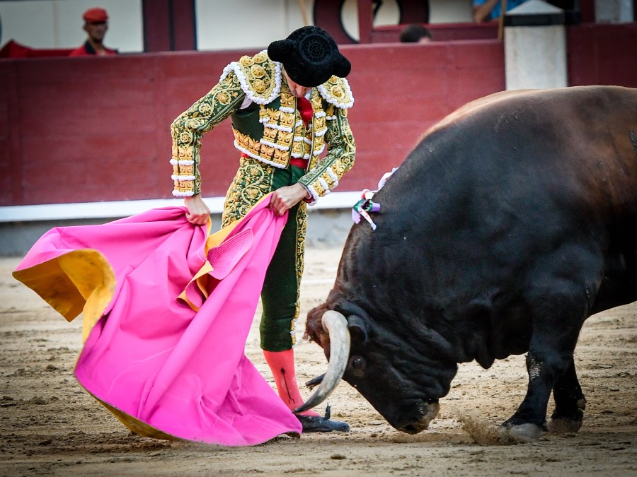 Madrid, jueves 15 de agosto de 2019