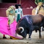 Madrid, jueves 15 de agosto de 2019