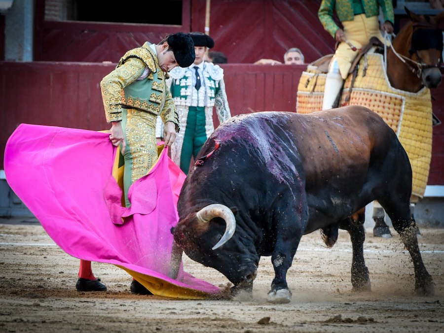 Madrid, jueves 15 de agosto de 2019