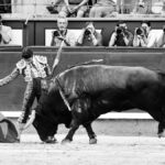 Madrid, jueves 15 de agosto de 2019