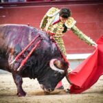 Madrid, jueves 15 de agosto de 2019