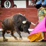 Madrid, jueves 15 de agosto de 2019