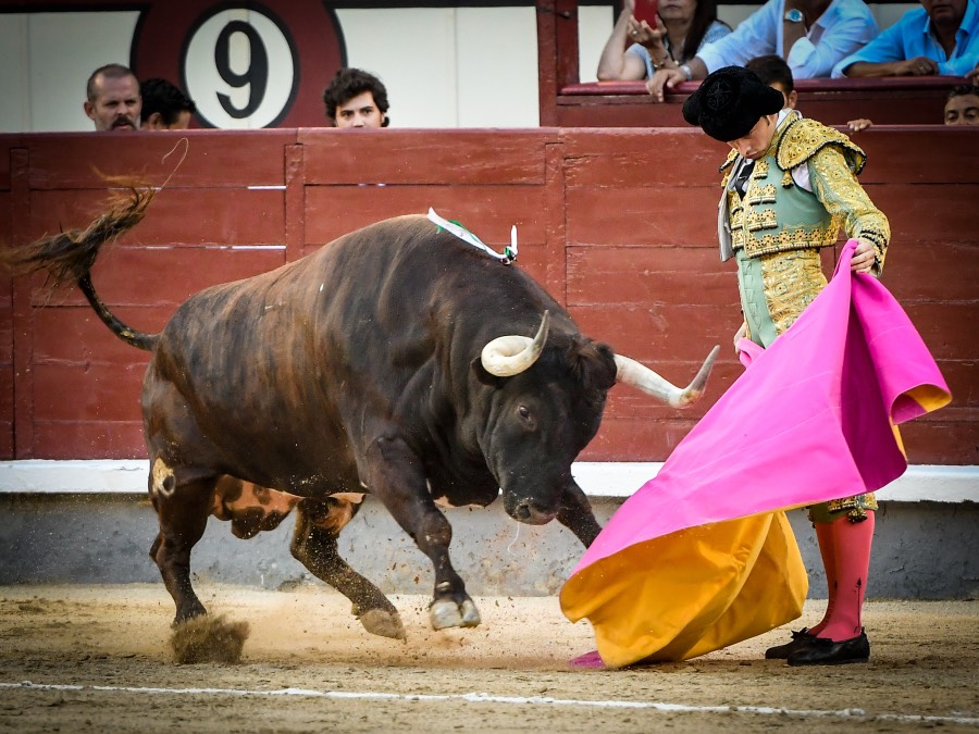 Madrid, jueves 15 de agosto de 2019