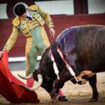 Madrid, jueves 15 de agosto de 2019