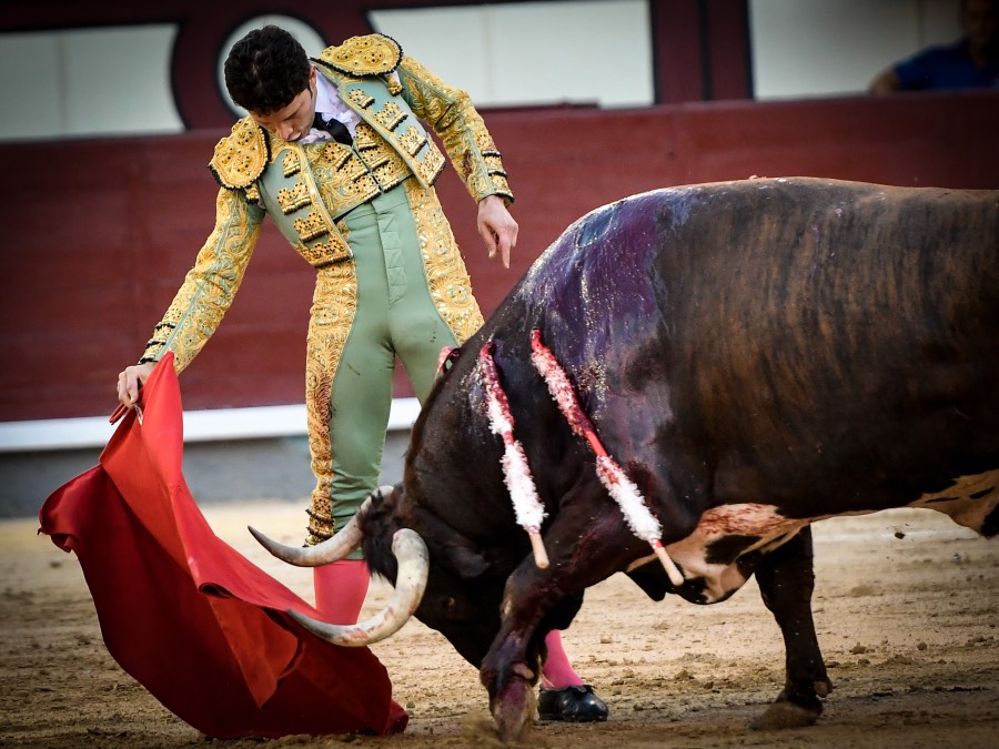 Madrid, jueves 15 de agosto de 2019