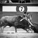 Madrid, jueves 15 de agosto de 2019