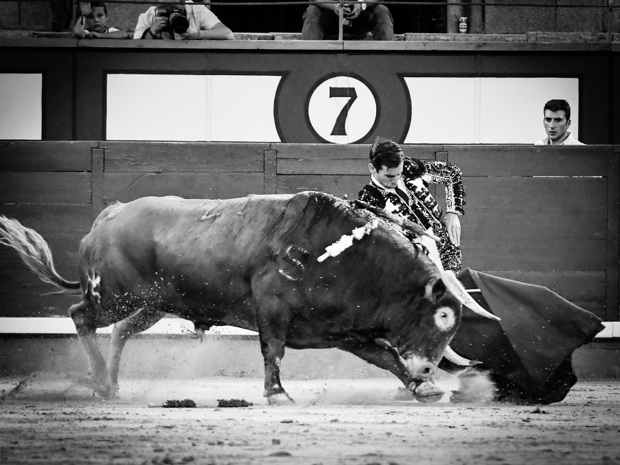 Madrid, jueves 15 de agosto de 2019
