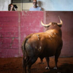 Sorteo. San Sebastián, miércoles 14 de agosto de 2019