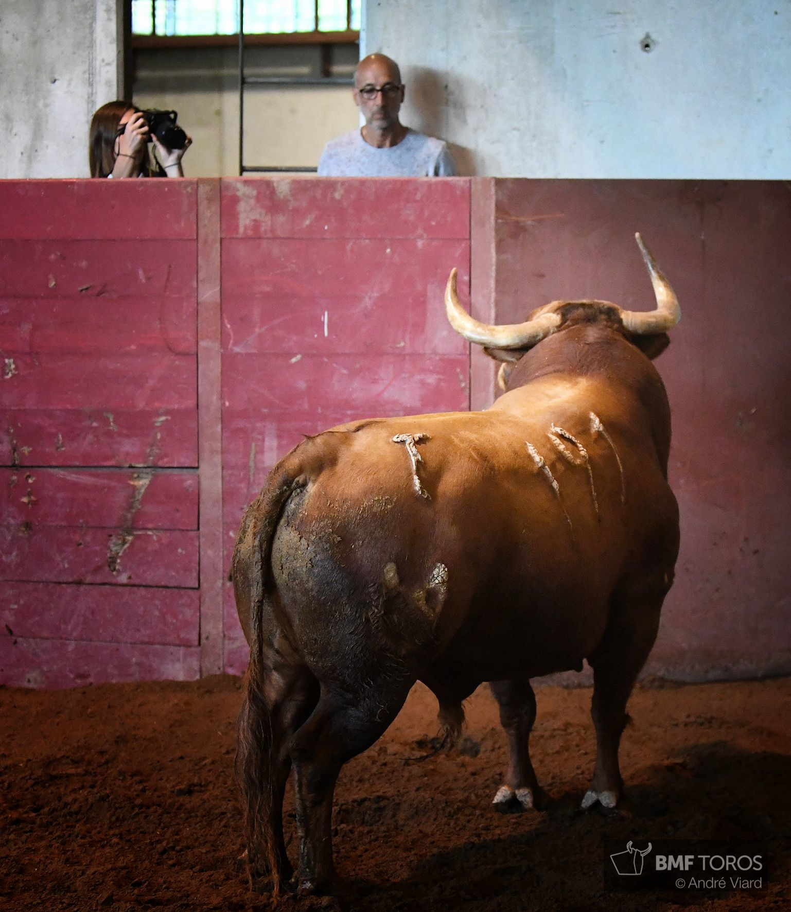 Sorteo. San Sebastián, miércoles 14 de agosto de 2019