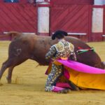 Almería, lunes 19 de agosto de 2019