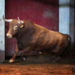 Sorteo. San Sebastián, miércoles 14 de agosto de 2019