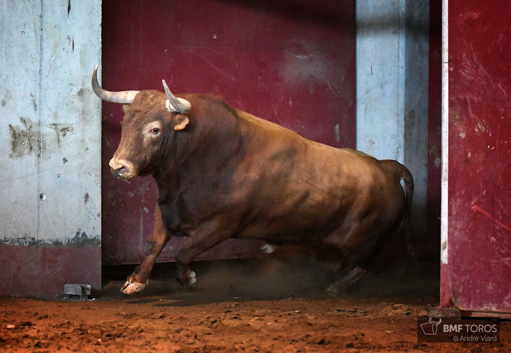 Sorteo. San Sebastián, miércoles 14 de agosto de 2019