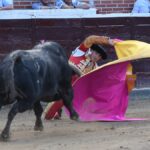 San Sebastián de los Reyes, sábado 31 de agosto de 2019
