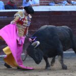 San Sebastián de los Reyes, sábado 31 de agosto de 2019