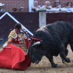 San Sebastián de los Reyes, sábado 31 de agosto de 2019