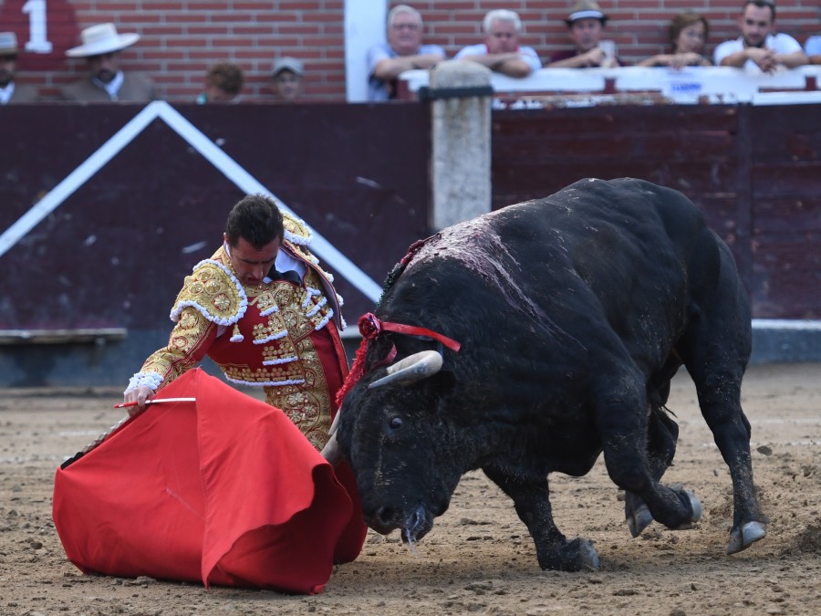 San Sebastián de los Reyes, sábado 31 de agosto de 2019