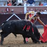 San Sebastián de los Reyes, sábado 31 de agosto de 2019