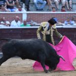 San Sebastián de los Reyes, sábado 31 de agosto de 2019